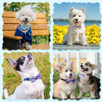 Reginary 50 Pieces Dog Bow Ties Pet Collar Bow Puppy. Sized and styled for real homes, not just a listing photo.