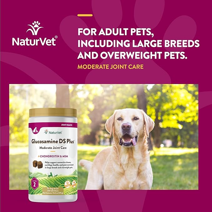 NaturVet – Glucosamine DS Plus - Level 2 Moderate Care – Supports Healthy Hip & Joint Function – Enhanced with Glucosamine, MSM & Chondroitin – for Dogs & Cats – 240 Soft Chews