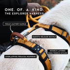 MADE TO ROAM Premium Explorer Harness - Y-Shaped Dog Harness with Adjustable Durable Nylon, Soft Padding, Metal Buckles and Leather Handle for Small, Medium, Large Dogs (Carolina Blooms, Size 6)