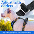 rabbitgoo Dog Harness for Large Dogs, No Pull Pet Vest with 3 Buckles, Adjustable Soft Padded Pet Harness with Easy Control Handle and Reflective Strips, Blue, L