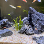 10 lbs Aquarium Silica Sand. Decorative Mini Aquarium Gravel Substrate for Fish Tank, Plants Potted, Fire Pits, Candle, Vase Filler and Crafts
