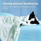 Bedsure Cooling Blanket for Large Dogs with Breathable Air-Core Fill Q-MAX>0.4 - Dog Cooling Mat Soft, Lightweight Pet Cat Throw Cold Blanket Washable for Summer, Pale Jade, 40x50