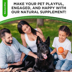 Probiotics for Dogs | Liquid Probiotics for Dogs and Puppies | Prebiotic & Digestive Enzymes | Gut Flora Support and Digestive Care | Bacon Taste | 2 Oz