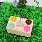 Jumping Spider Accessories, Plastic Feeding Bowl Set with Wooden Base for Food and Water, Mini Bowls, Jumping Spider Feeding Cups, Tarantula Enclosure Accessories