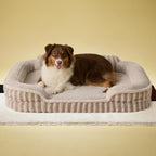LE SURE Cute Dog Beds Large Sized Dog, Orthopedic Waterproof Large Pet Bed with Sides, Non-Slip Bottom and Egg-Crate Foam Pet Couch Sofa with Washable Removable Cover, Hazel