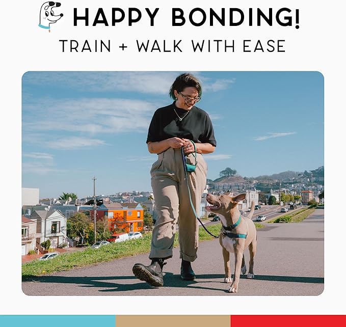 No Pull Dog Harness | Comfortable Training Harnesses | Effective No Pull Harness Design | Ideal for Large Sized Dog | 4-Point Adjustable(XL - 30~36 inch Girth, Turquoise)