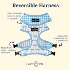 Lucy & Co. Cute Reversible Dog Harness Walking Halter - Best Designer Pet Harnesses for XS - XL Dogs - Padded Adjustable Vest for Easy Walking - X Large - White with Blue Bows