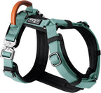 MADE TO ROAM Premium Explorer Harness - Y-Shaped Dog Harness with Adjustable Durable Nylon, Soft Padding, Metal Buckles and Leather Handle for Small, Medium, Large Dogs (Florida Seaside, Size 6)