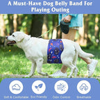 5 Pack Dog Diapers Male Reusable, Premium Belly Bands for Male Dogs, High Absorbing Male Dog Pee Wraps for Doggie in Incontinence or Excitable Urination and Training Dinosaur L