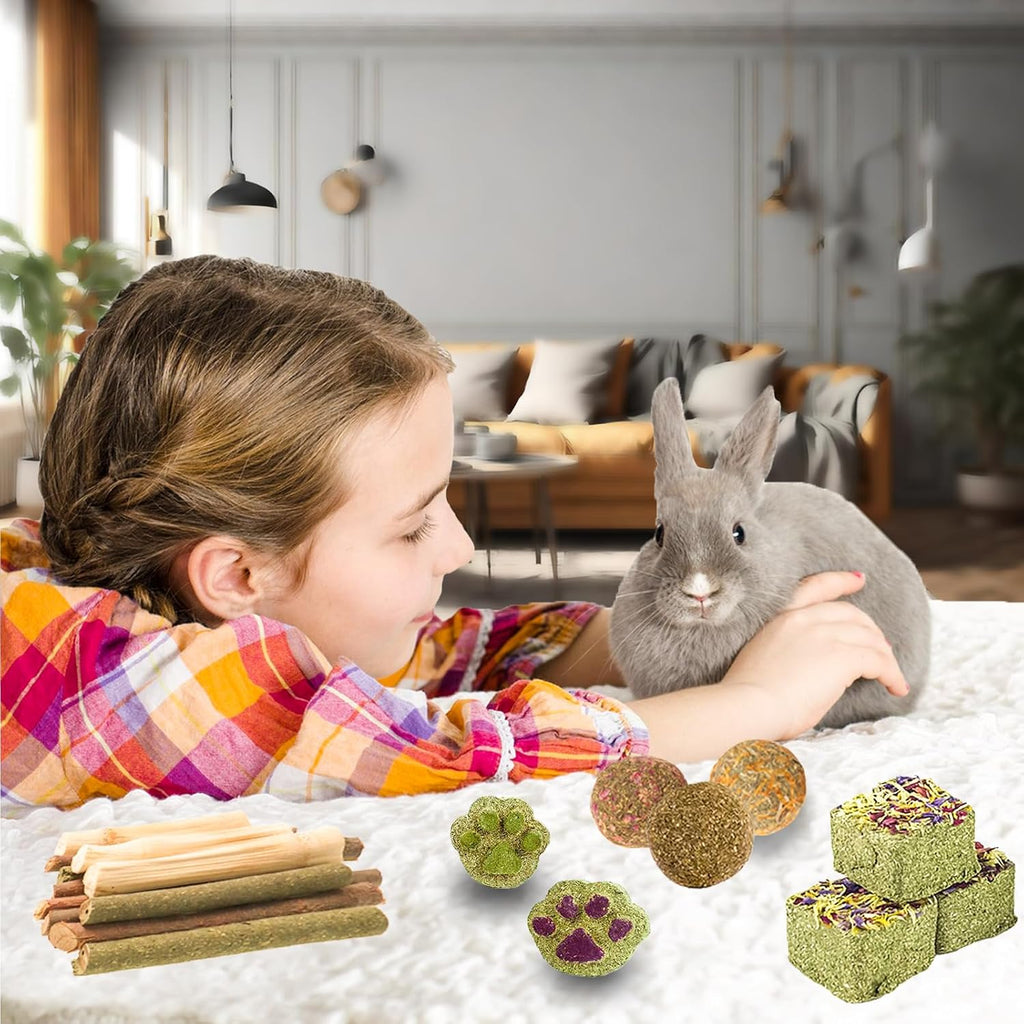 Grddaef Rabbit Toys, Guinea Pig Toys 25 Pcs Natural Timothy Hay Bunny Chews and Treats for Hamster Chinchilla Gerbil