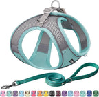 AIITLE Comfortable Dog Harness and Leash Set for Walking - Summer Step in Vest Harness,Reflective Bands, Adjustable No Pull Puppy Essentials, for Small Dogs and House Cats Turquoise XS