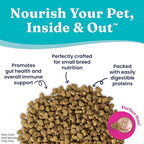 Solid Gold Toy & Small Breed Dry Dog Food Small Bites – Real Beef, Grain Free, Gluten Free, High Fiber Kibble with Probiotics for Gut Health & Digestion Support – Healthy Dog Food All Ages – 4LB