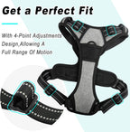 BARKBAY No Pull Dog Harness Large Step in Reflective Dog Harness with Front Clip and Easy Control Handle for Walking Training Running(Flint Gray,L)