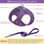 AIITLE Escape Proof Dog Harness - Step in Adjustable Dog Harness No Choke Over with Breathable Mesh and Quick-Release Buckle for Summer- Outdoor Walking, Camping for Medium Dogs Pure Purple XL