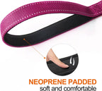TwoEar 5FT 1IN Strong Rose Dog Leash with 2 Padded Handles, Traffic Handle Extra Control, Comfortable Soft Dual Handle, Auto Lock Hook, Reflective Walking Lead for Small Medium and Large Dogs