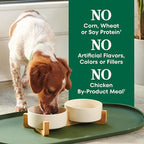 Nutro Natural Choice Lamb & Brown Rice Adult Small Bites Dog Food Recipe, 12 lb. Bag