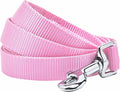 Blueberry Pet Essentials Fuchsia Pink Dog Leash for Small -5' * 5/8" Dogs | Heavy Duty Nylon Lead | Lightweight Puppy & Cat Leash for Walking & Training