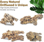 PINVNBY Natural Large Driftwood for Aquarium Reptile Terrarium Decor Decorations Assorted Branches Bearded Dragon Tank Accessories (11.5-16 inches/1 Pack)