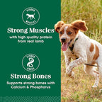Nutro Natural Choice Lamb & Brown Rice Adult Small Bites Dog Food Recipe, 12 lb. Bag