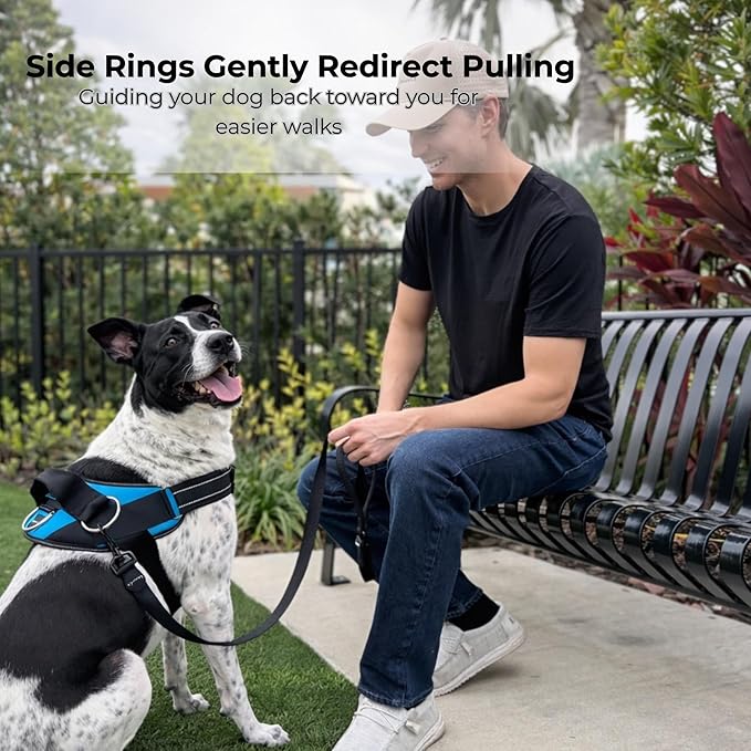 ShawnCo Essential Dog Harness, No-Pull Pet Vest (Orchid,XL) | 3 Leash Clips, Easy On, No-Choke, Reflective, Adjustable Fit, Padded Comfort, Control Handle, For Small, Medium & Large Dogs