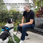 ShawnCo Essential Dog Harness, No-Pull Pet Vest (Orchid,XL) | 3 Leash Clips, Easy On, No-Choke, Reflective, Adjustable Fit, Padded Comfort, Control Handle, For Small, Medium & Large Dogs