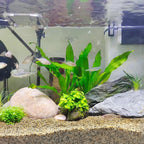 20 lbs Aquarium Sand, 0.6-1.2 mm Aquarium Substrate for Freshwater Fish Tank. Decorative River Rocks Gravel for Fish Tank, Plants Potted, Fire Pits, Candle, Vase and Crafts
