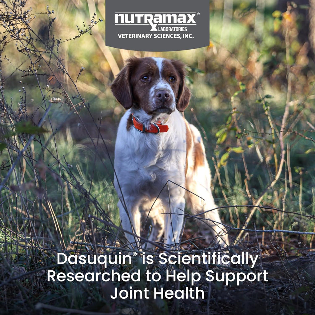 Nutramax Laboratories Dasuquin with MSM Soft Chews Small/Medium Dog 84 Count, brown