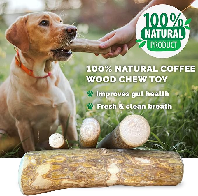 LuckyTail Wooden Stick - Coffee Tree Dog Chew Toy for Aggressive Chewers (Medium (2 Count))