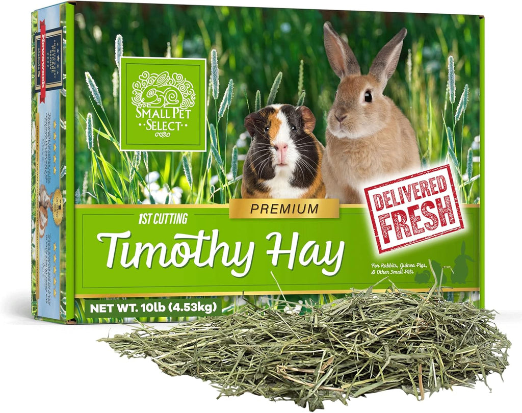 Small Pet Select 1st Cut Timothy Hay Pet Food for Rabbits, Guinea Pigs, and Other Small Animals, Easy to Store Box, 10 LB