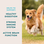 VetIQ Multivitamin Supplement for Dogs, Supports Active Brain Function, Immune System, and Digestive System, Hickory Smoke Flavored Dog Multivitamin, Made in The USA, 60 Count