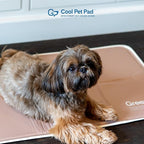 The Green Pet Shop Cool Pet Pad - Small, Latte- Self-Cooling, Pressure Activated Mat for Dogs & Cats from 9-20 lbs - Non-Toxic Gel, No Water Needed