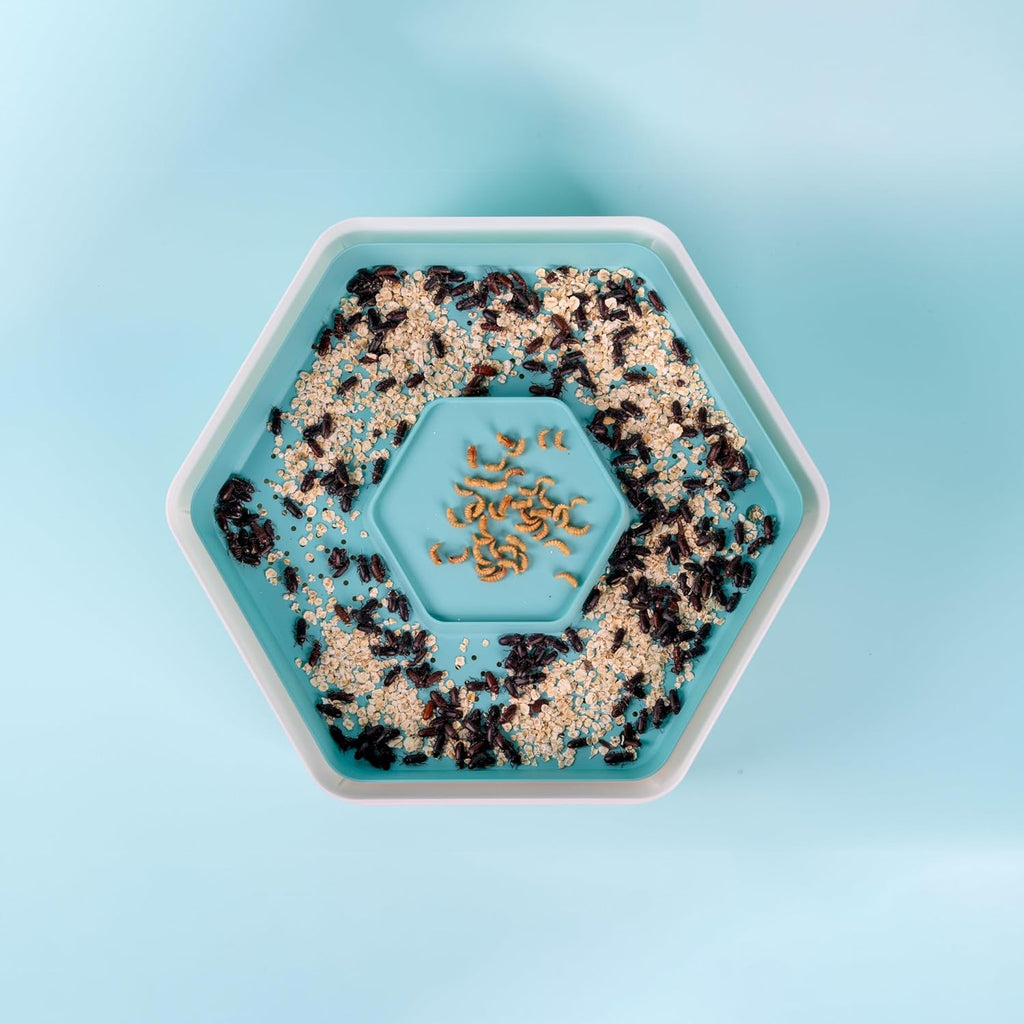 Mealworm Growing Kit by The Bug Factory - Raise Dried Mealworms at Home, Mealworm Growing, Breeding, Rearing & Raising Kit | Includes Full Lifecycle Habitat Pods + Carbon Filters