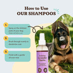 Natural Dog Company Calming Lavender Spritz 8 oz – Hypoallergenic Dog Deodorizing Spray with Aloe & Oatmeal – Refreshes Coat, Soothes Sensitive Skin – Natural Lavender Scent, No Artificial Fragrance