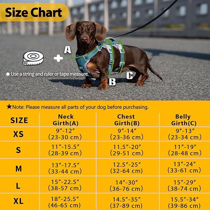 Escape Proof Dog Harness, No Pull Reflective Harness with Lift Handle, Adjustable Pet Vest with Front and Back Leash Clips for Small Medium Large Dogs Walking Hiking Training (Teal,L)