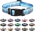 Mercano Adjustable Dog Collar - Special Design Patterns, Soft Nylon Comfortable Durable Pet Collar for Small Medium Large Dogs (XS, Forest)