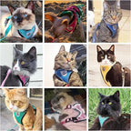 PUPTECK Cat Harness and Leash Set Escape Proof Reflective Cat Walking Harness Adjustable Soft Breathable Mesh Vest for Small Pets, Sky Blue, M