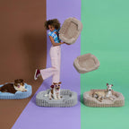 LE SURE Cute Dog Beds Large Sized Dog, Orthopedic Waterproof Large Pet Bed with Sides, Non-Slip Bottom and Egg-Crate Foam Pet Couch Sofa with Washable Removable Cover, Hazel