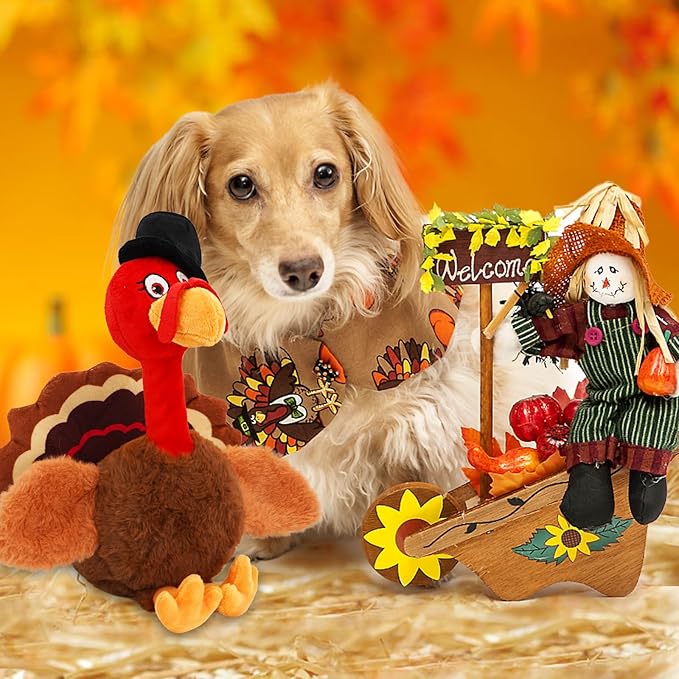 Thanksgiving Dog Toys, Turkey Squeaky Dog Toys with Cotton Rope and Crinkle, Thanksgiving Dog Gifts for Small Medium and Large Dogs