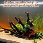 PINVNBY Natural Driftwood for Aquarium Decor Fish Tank Decorations Reptile Decor Driftwood Decor, 3 Pieces 7"-11" Assorted Driftwood Branch