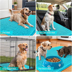 OLANLY Dog Door Mat for Muddy Paws 59x32, Absorbs Moisture and Dirt, Absorbent Non-Slip Washable Doormat, Quick Dry Chenille Mud Mat for Dogs, Entry Indoor Entryway Carpet for Inside Floor, Aqua Blue