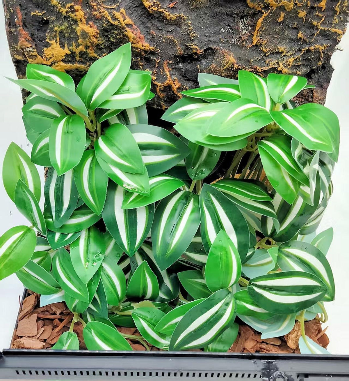 Reptile Plants for Terrarium Decor, Amphibian Habitat Decor, Snake Tank Accessories, Artificial Hanging Plants with Suction Cup-2 Packs (Zebrina Green)