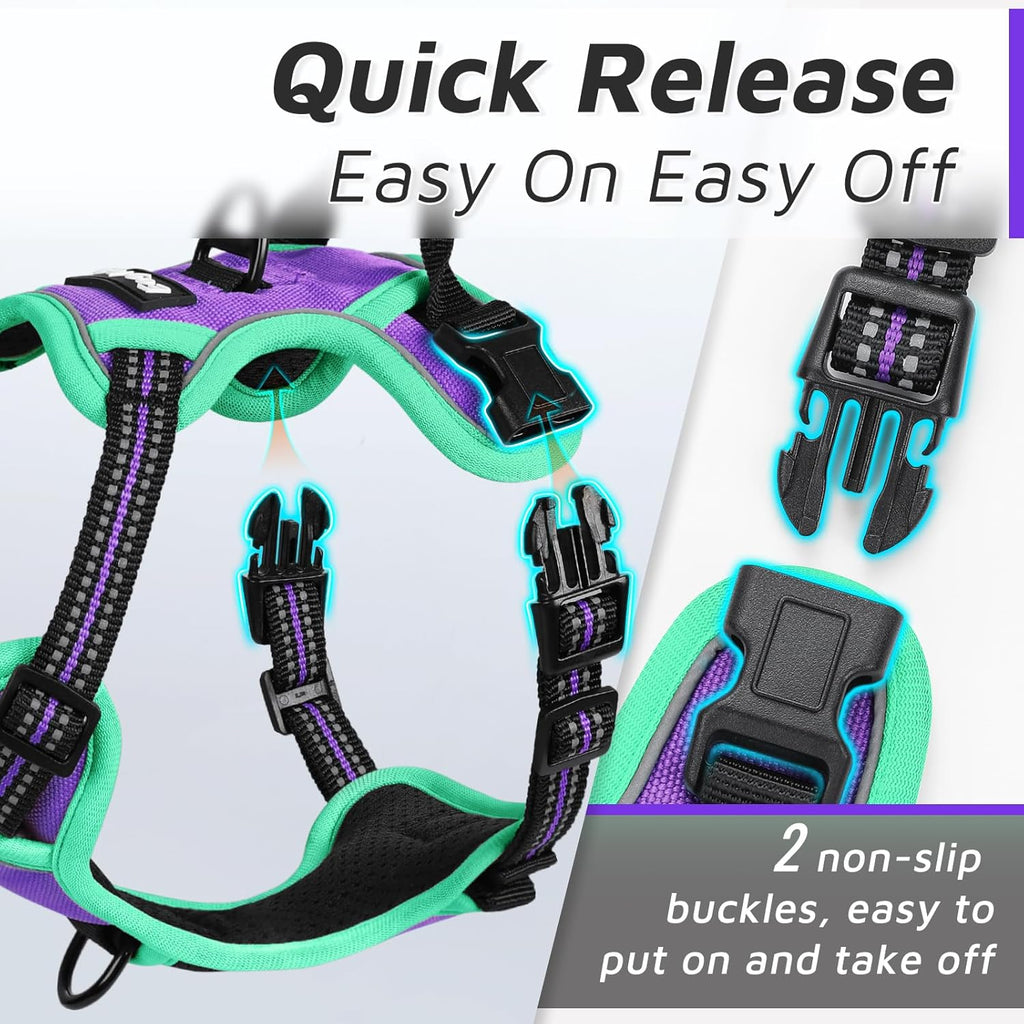 Eagloo Small Dog Harness No Pull, Service Vest with Reflective Strips and Control Handle, Adjustable and Comfortable for Walking, No Choke Pet Harness with 2 Metal Rings, Purple & Green, XS