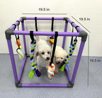 Puppy Play Gym for small dogs with 8 Hanging Interactive Toys Indoor Play | Funny Enrichment Jungle Playground to Keep Them Busy，with Bungee Straps for self-play,19.5*19.5*19.5in