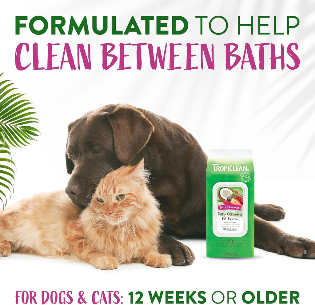 TropiClean Deep Cleaning Pet Wipes, 100ct - Wipes for Dogs & Cats - Gently Removes Dirt, Dander & Smells - for Pet Paws, Face, Body & Bottom - Sweet Berry & Coconut Scent