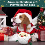 QDAN Christmas Dog Balls with Straps, Soccer Ball for Dogs for Small Medium Breed, Tug Toys for Dog Birthday, 6 Inch Outdoor Dog Toys for Fun