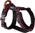 MADE TO ROAM Premium Explorer Harness - Y-Shaped Dog Harness with Adjustable Durable Nylon, Soft Padding, Metal Buckles and Leather Handle for Small, Medium, Large Dogs (Vermont Weekends, Size 4)