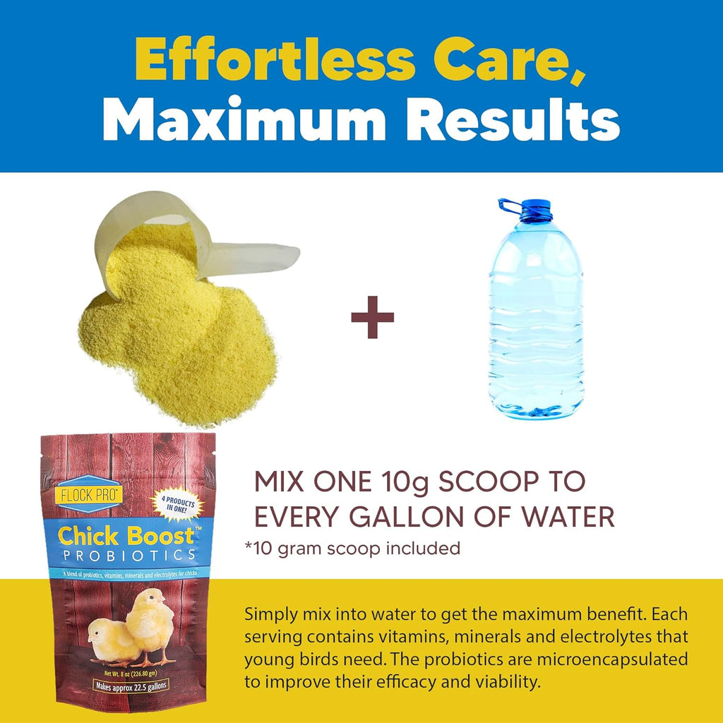 Equerry's Flock PRO Chick Boost Probiotic - Probiotics, Vitamins, Minerals and Electrolytes for Chickens | Chicken Vitamins and Supplements for All Poultry - 8oz