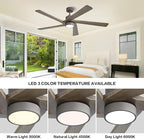 WINGBO 64 Inch DC Ceiling Fan with Lights and Remote Control, 5 Reversible Carved Wood Blades, 6-Speed Noiseless DC Motor, Modern Ceiling Fan in Graphite Finish with Gray Blades, ETL Listed