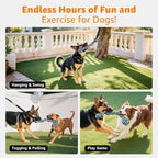 LOOBANI Outdoor Bungee Tug Toy, Dog Toy Hanging from Tree for Small to Large Dogs, Interactive Exercise Play Cord & Tether with Chew Rope Toy (Tree Stump Tug of War-Black)