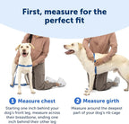 PetSafe Easy Walk Harness, No Pull Dog Harness, Deep Purple, Medium/Large | Patented Martingale Loop Gives Gradual Shoulder Pressure to Stop Pulling, Front-Chest Leash Clip Prevents Gagging